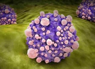 Off-the-Shelf KRAS Vaccine Shows Promise in High-Risk Pancreatic Cancer Patients